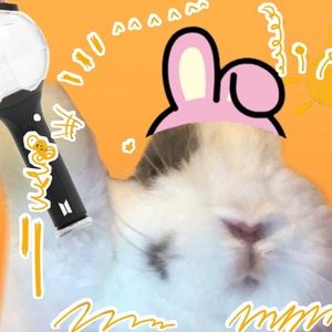 Meet your Posher, Kenidi